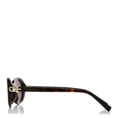 Tiffany Acetate Hardwear Oval Sunglasses TF4242D Tortoise Brown 3 of 8