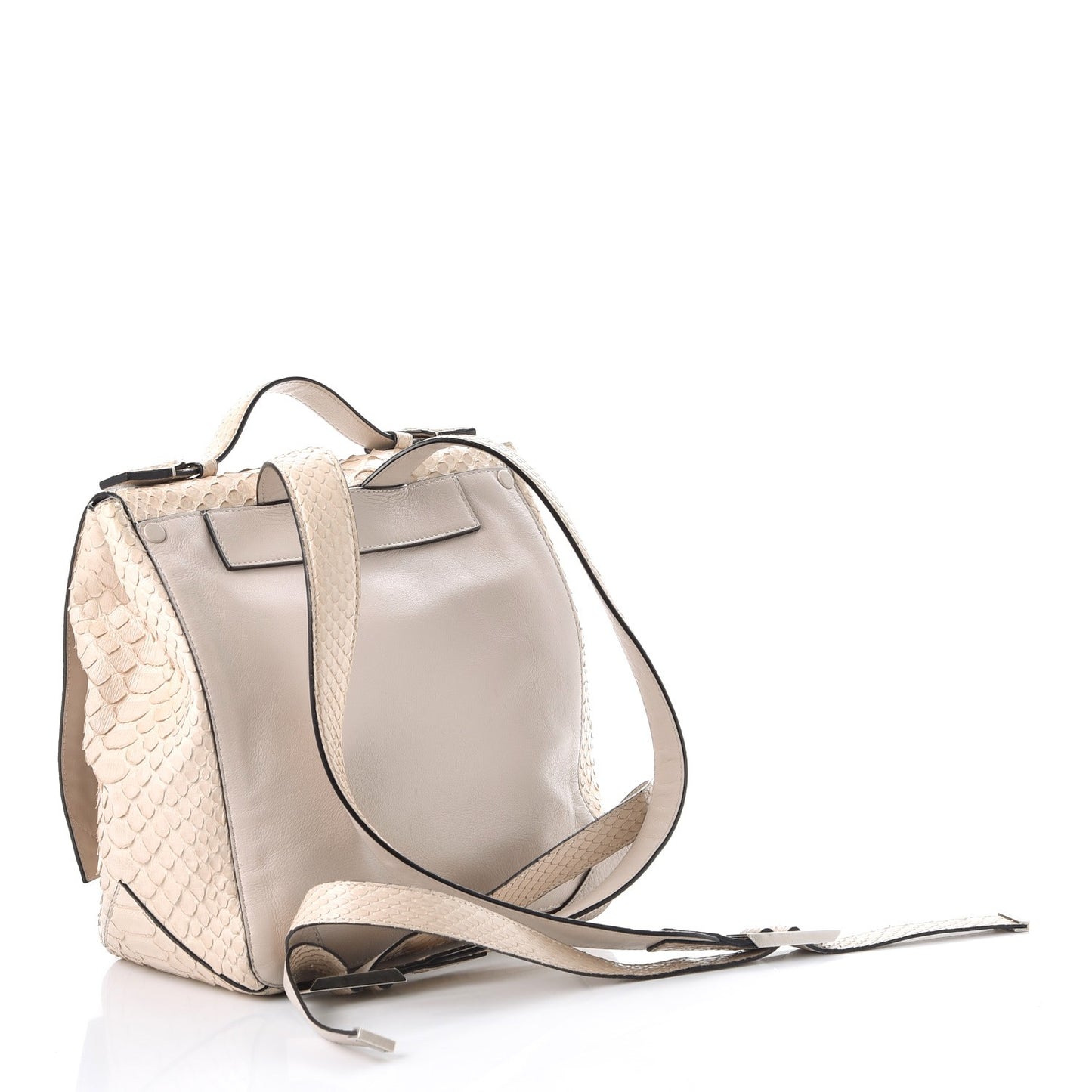 Python Small PS Courier Backpack Canvas