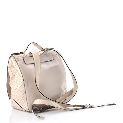 Proenza Schouler Python Small PS Courier Backpack Canvas 3 of 10