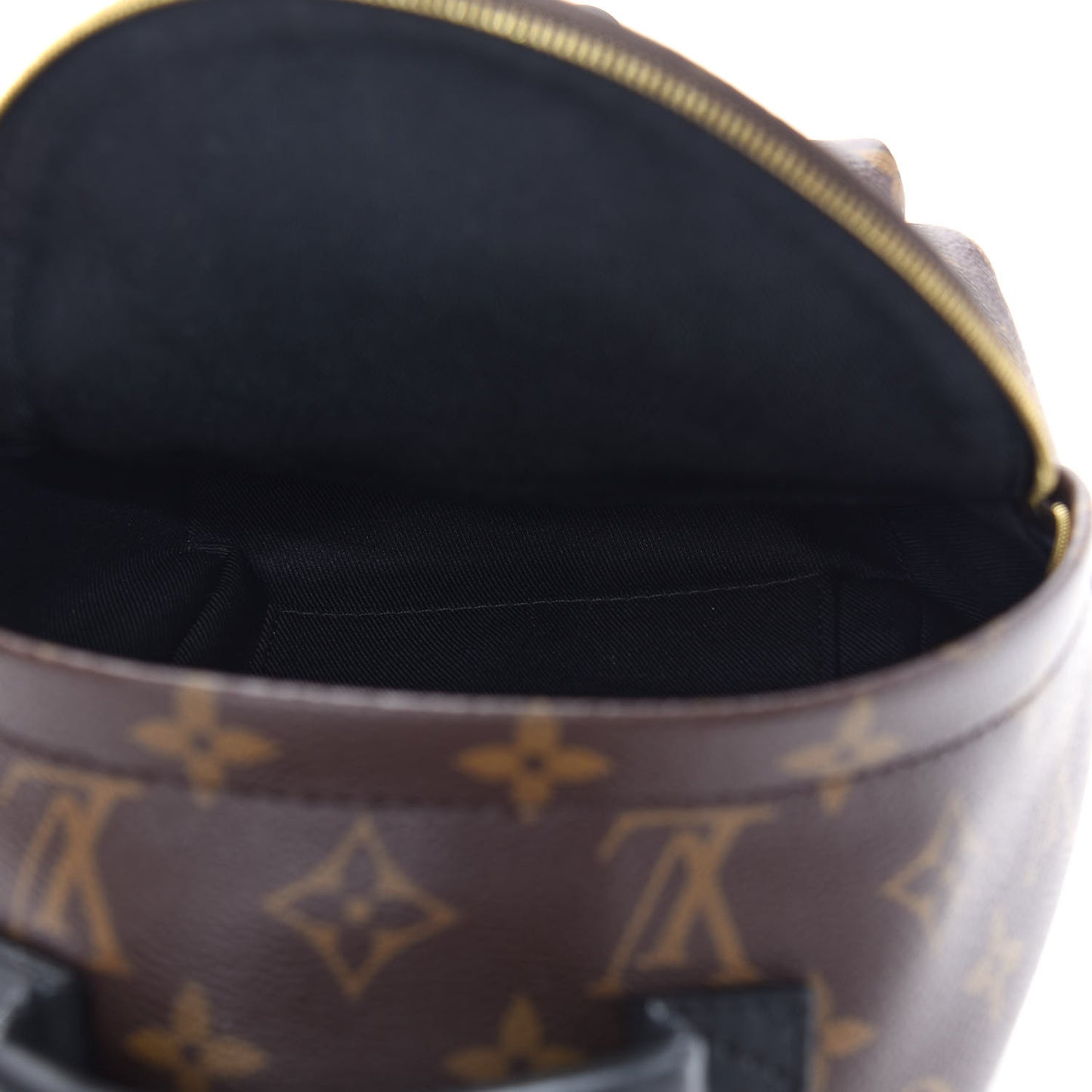 Monogram Palm Springs Backpack Mini