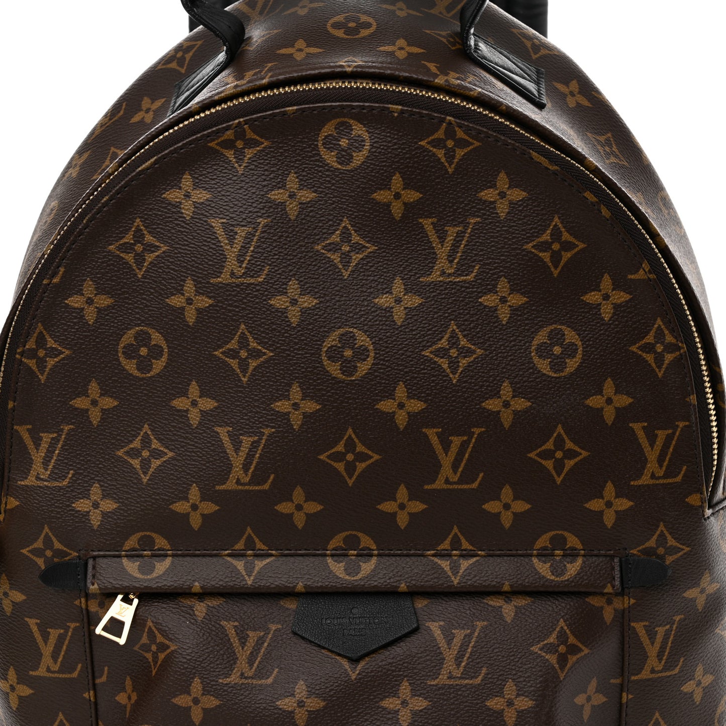 Monogram Palm Springs Backpack MM