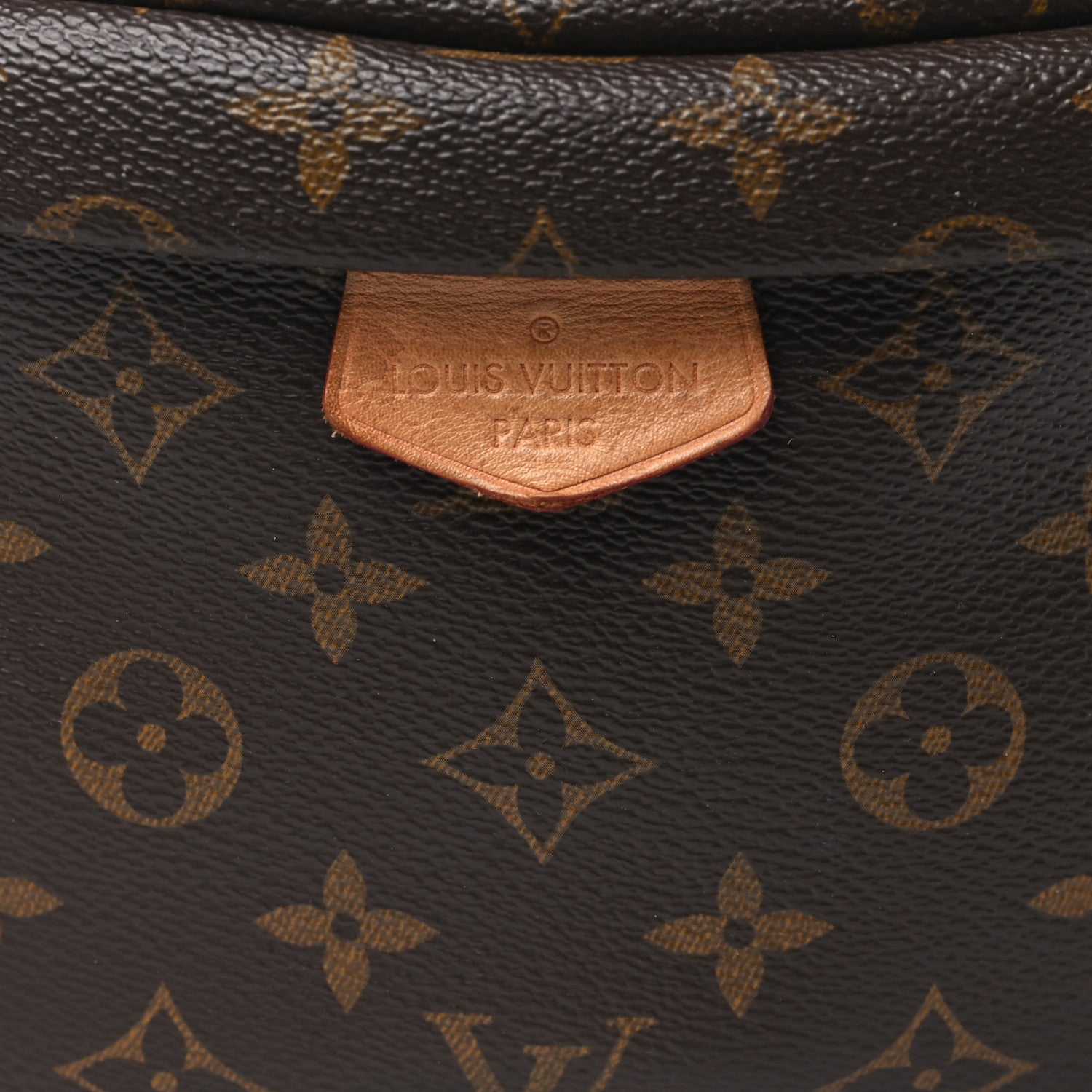 Louis Vuitton Monogram Bumbag 7 of 10