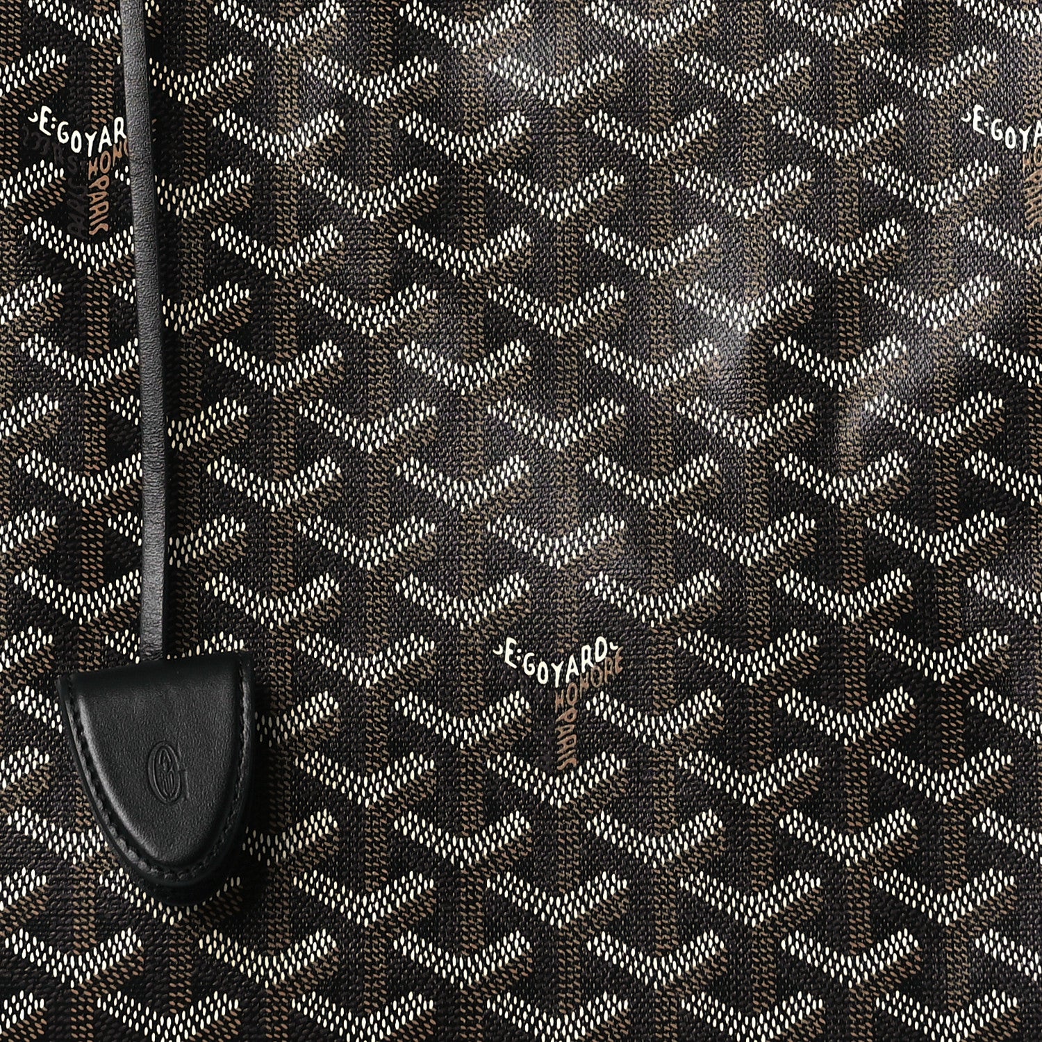 Goyard Goyardine Bellechasse PM Black 9 of 13
