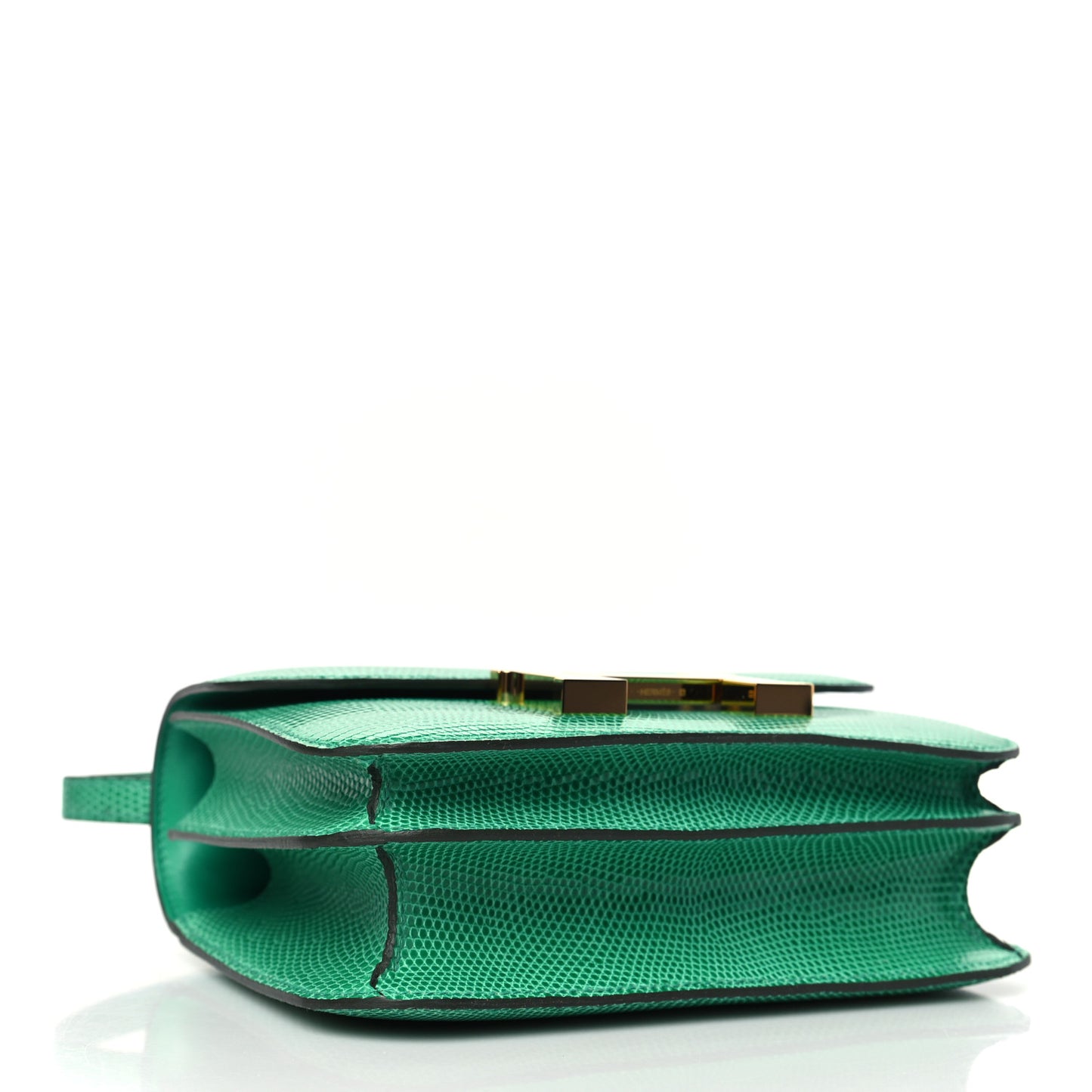 Lizard Constance 18 Menthe