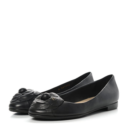 Chanel Lambskin Camellia Ballerina Flats 37 Black 3 of 12