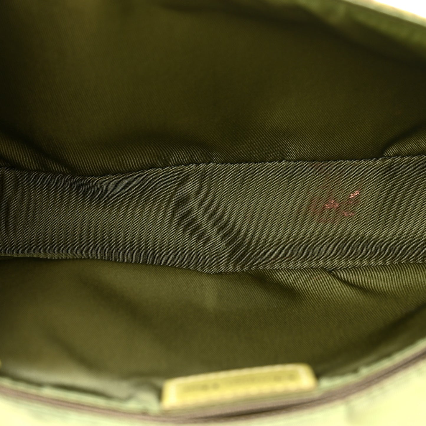 CHRISTIAN DIOR Snakeskin Malice Shoulder Bag Green