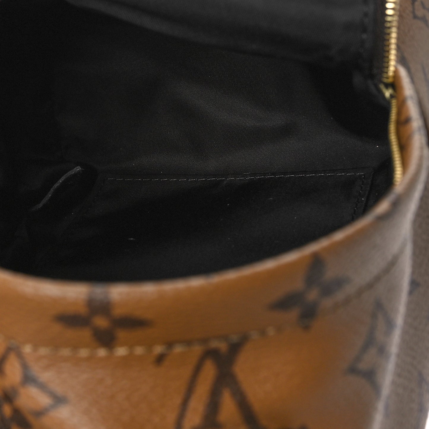 Reverse Monogram Palm Springs Backpack Mini