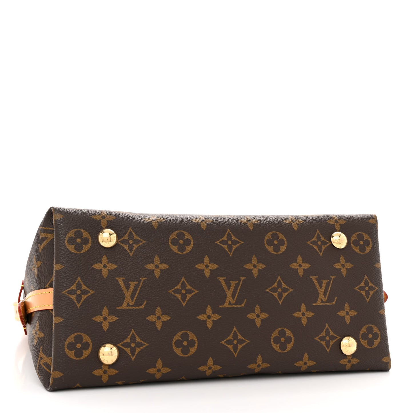Monogram CarryAll PM