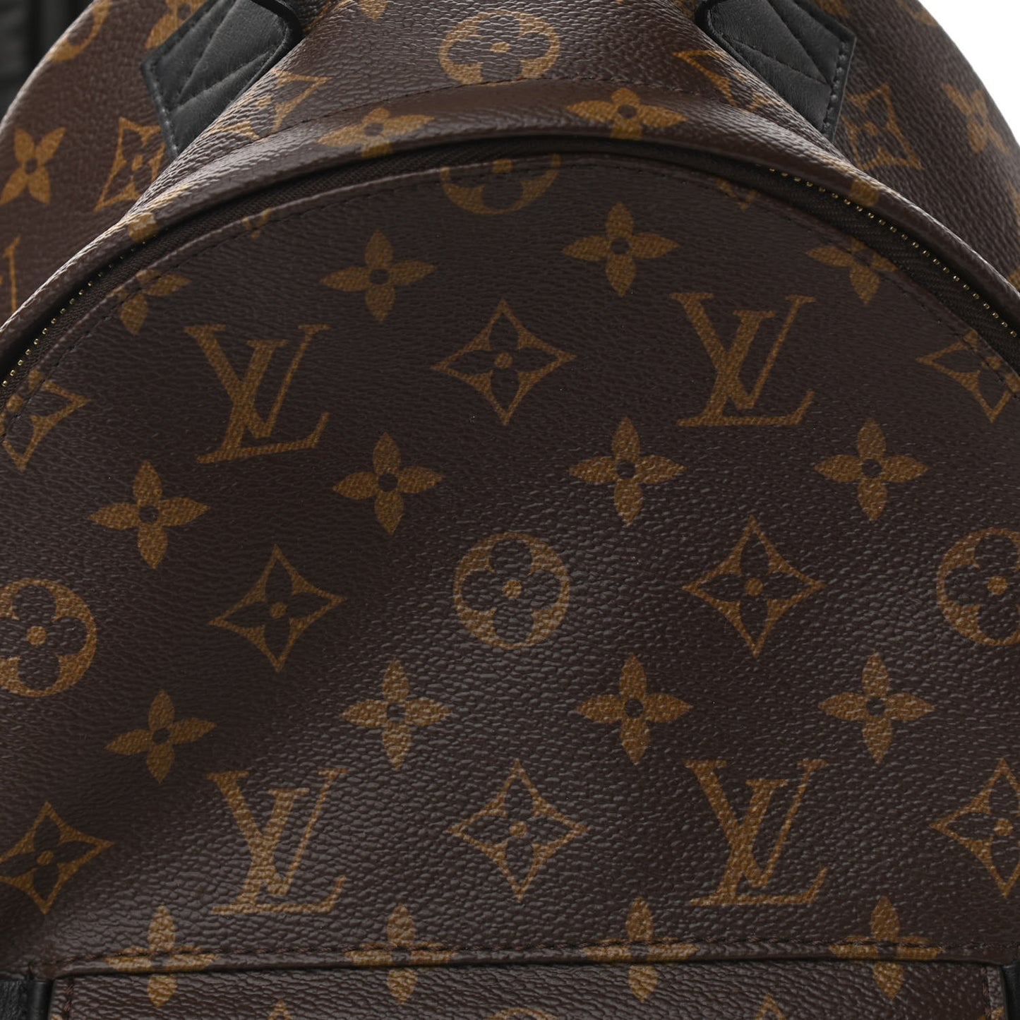 Monogram Palm Springs Backpack PM