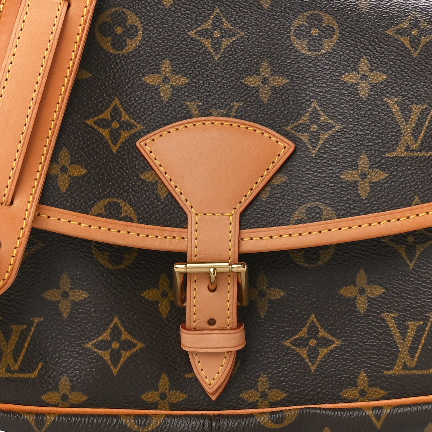 Louis Vuitton Monogram Sologne 8 of 11