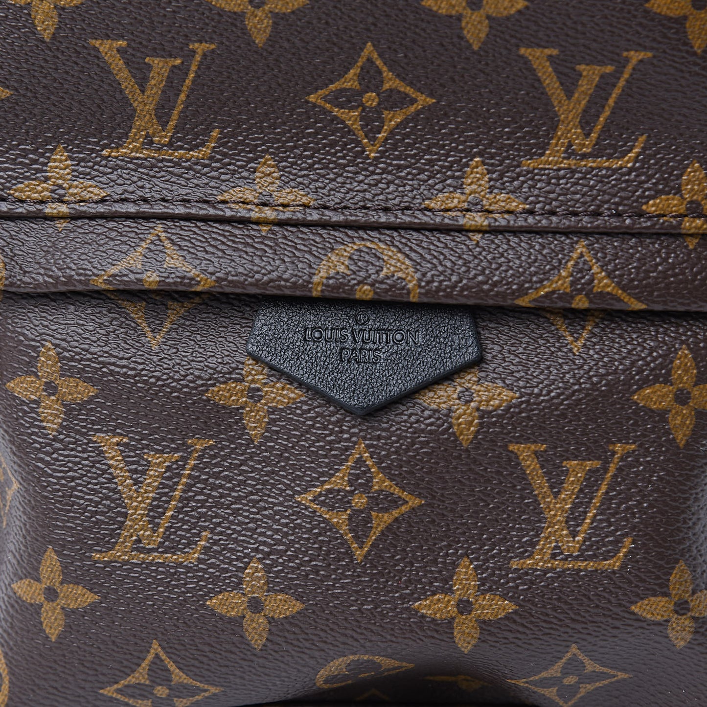 Monogram Palm Springs Backpack PM