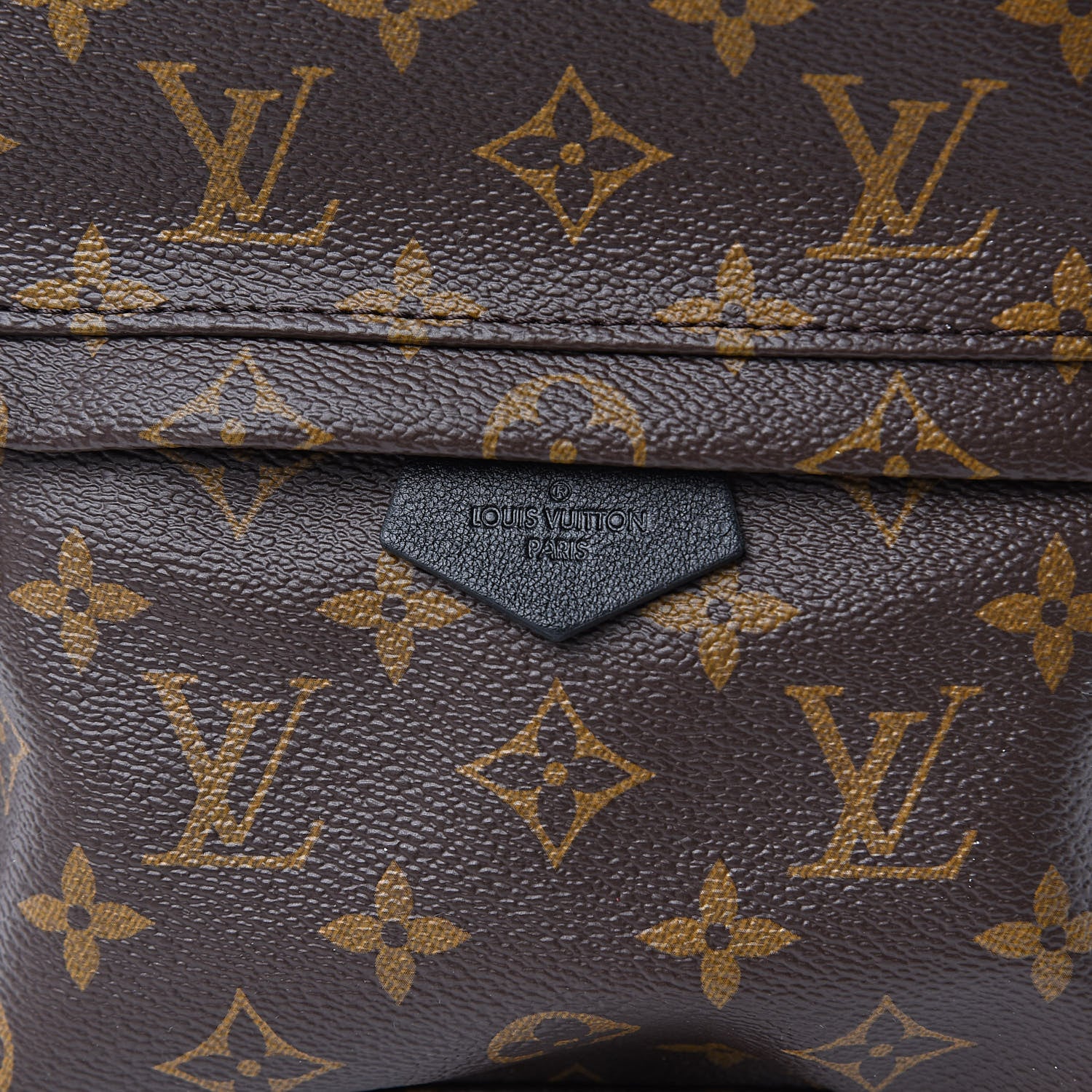 Louis Vuitton Monogram Palm Springs Backpack PM 9 of 9