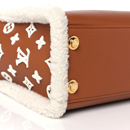Louis Vuitton Grained Calfskin Shearling On My Side PM Caramel 6 of 8