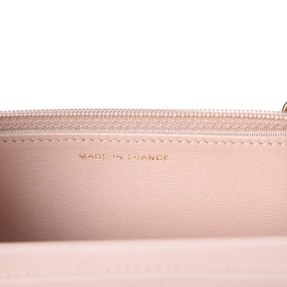 Chanel Metallic Python Wallet On Chain WOC Light Pink 7 of 8