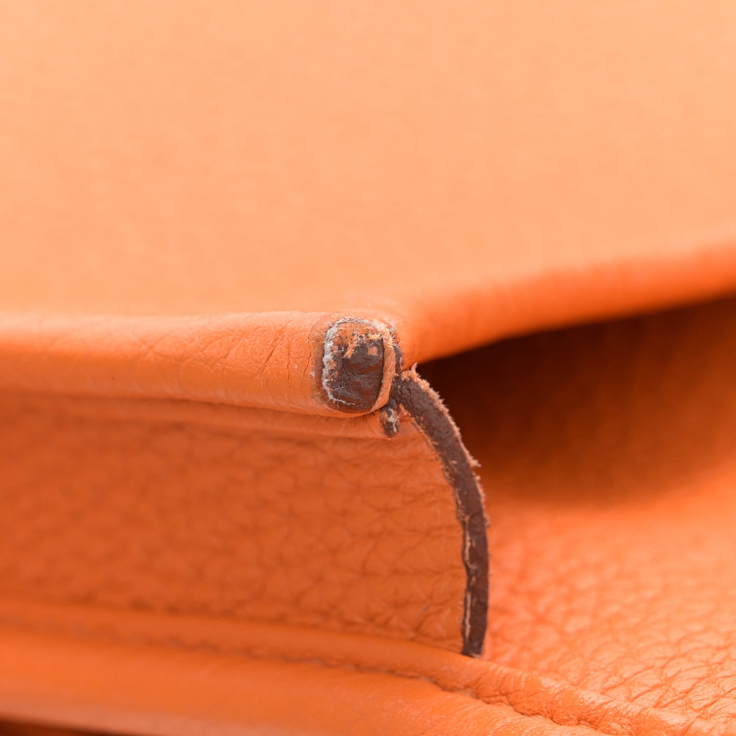Taurillon Clemence Evelyne III PM Orange