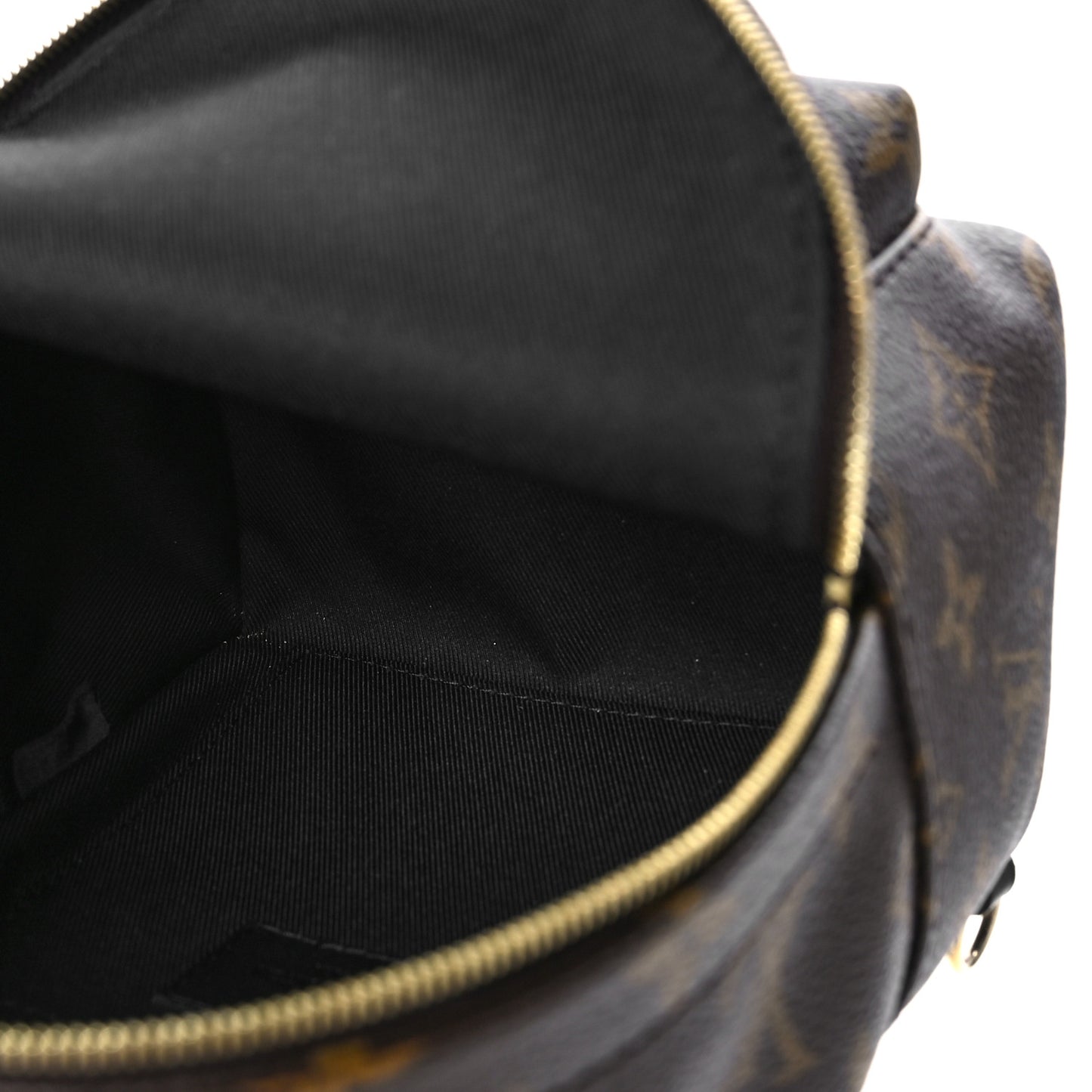 Monogram Palm Springs Backpack Mini
