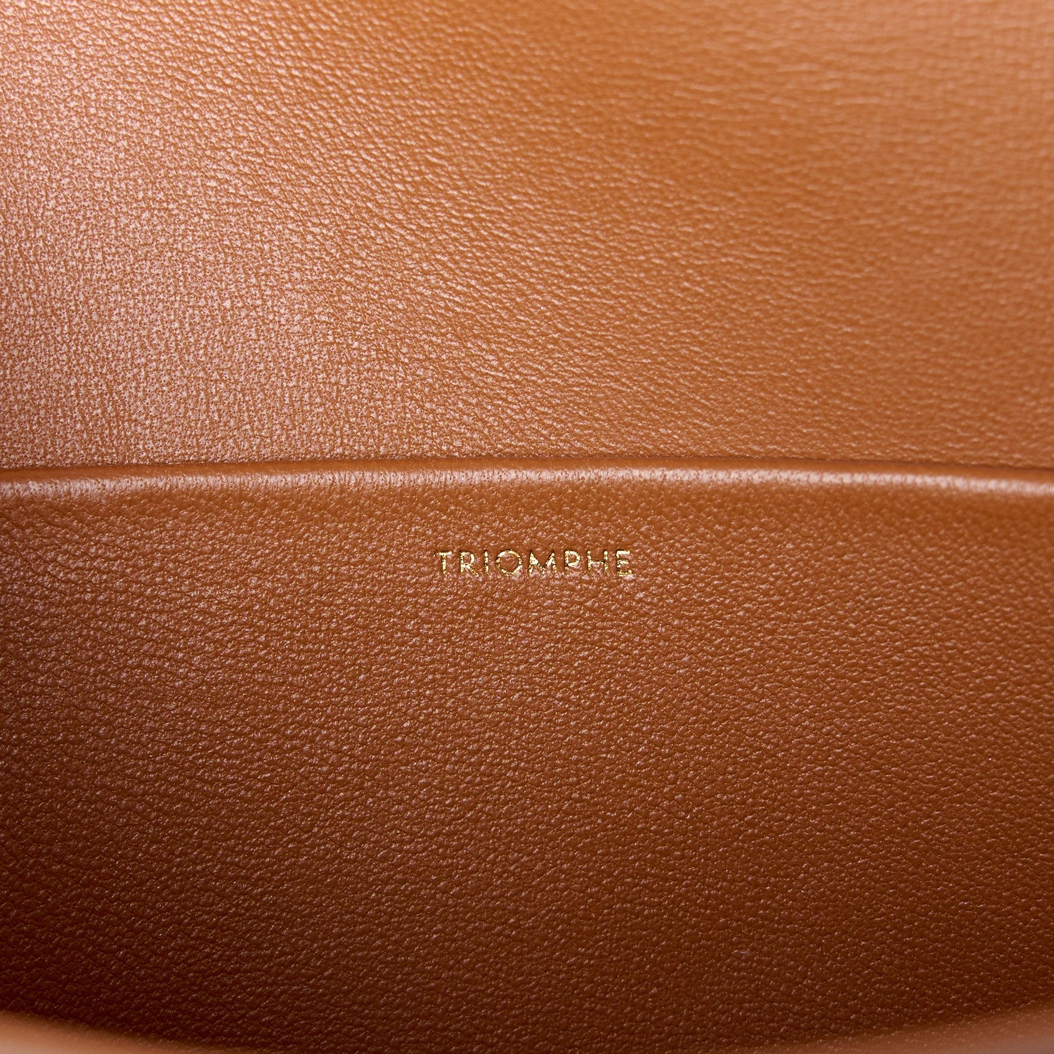 Celine Canvas Calfskin Triomphe Shoulder Bag Tan 6 of 11