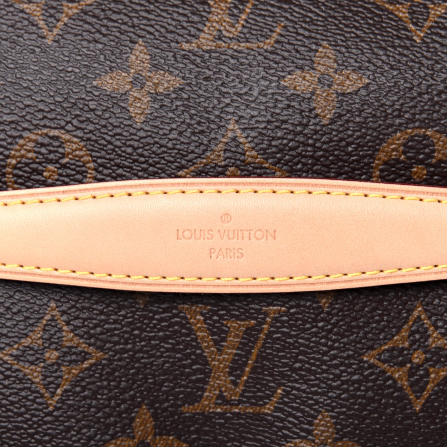 Monogram Bumbag
