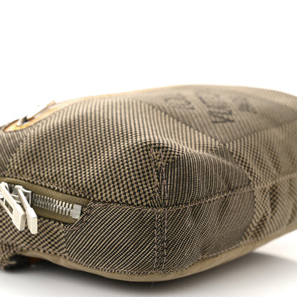 Louis Vuitton Damier Geant Archer Terre 8 of 12