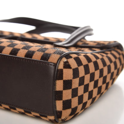 Louis Vuitton Damier Calf Hair Sauvage Lionne 9 of 13