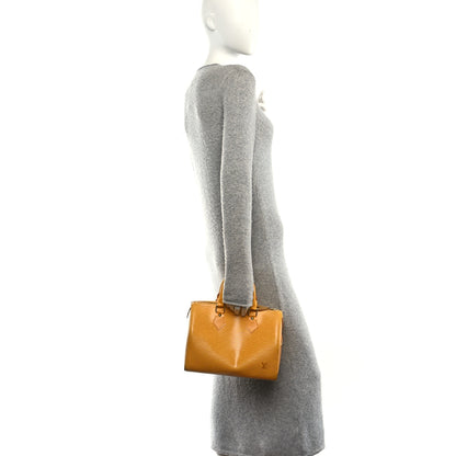 Louis Vuitton Epi Speedy 25 Tassil 2 of 9