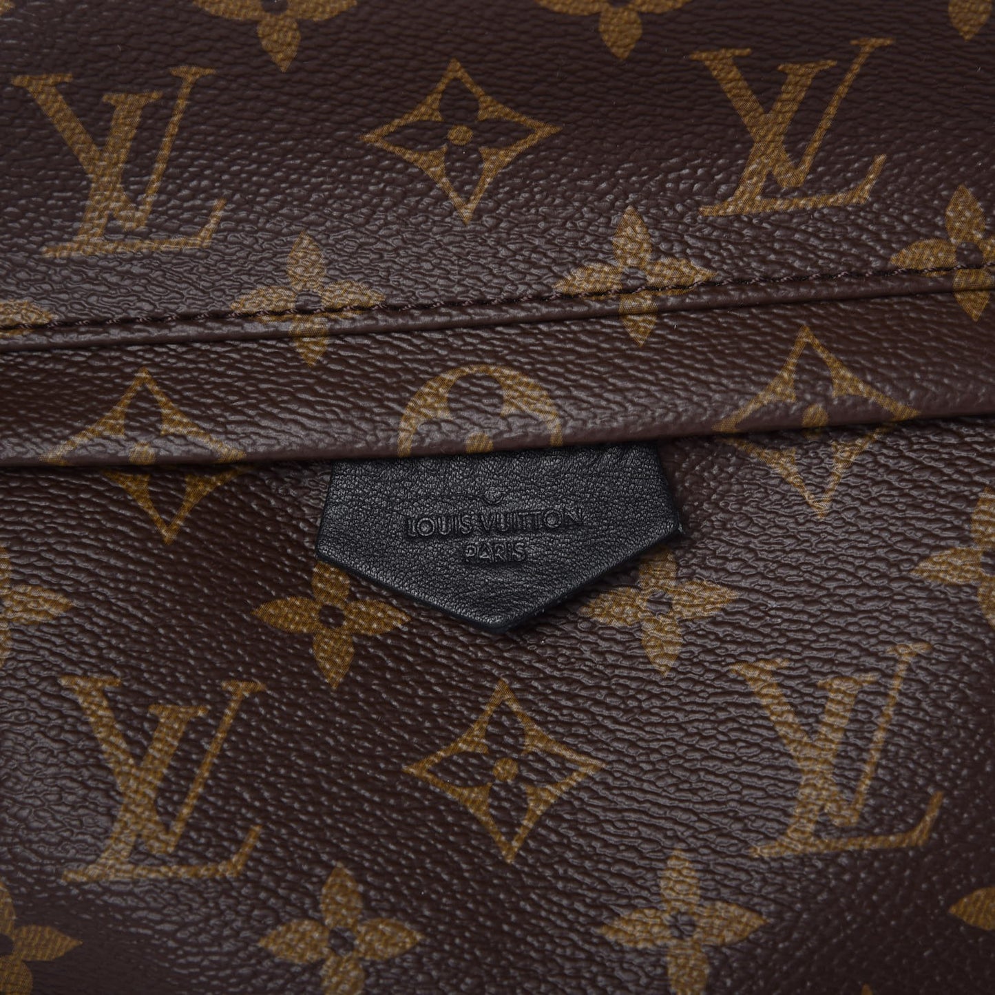 Monogram Palm Springs Backpack PM