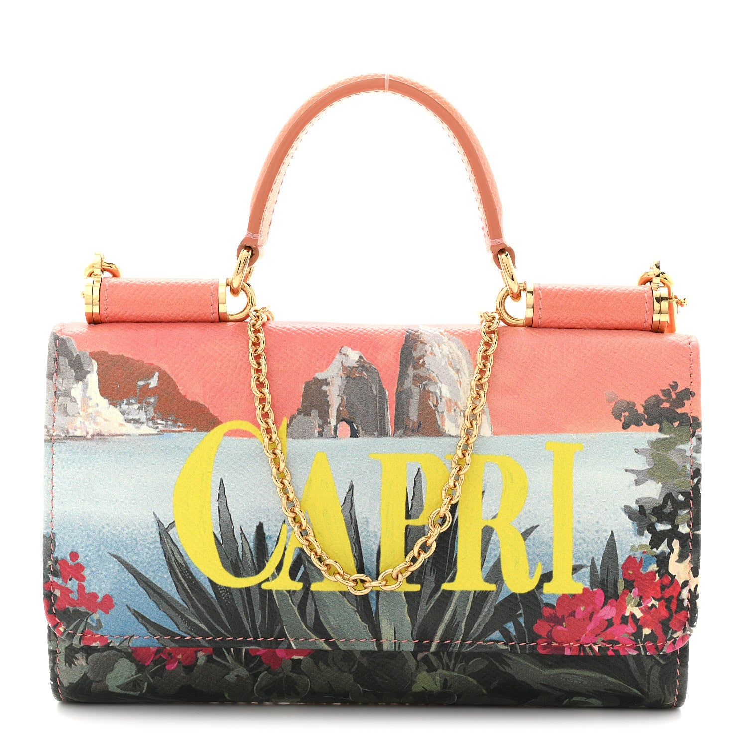 Dolce & Gabbana Dauphine Capri Printed Mini Von Bag Multicolor 1 of 14