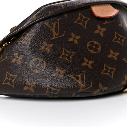 Louis Vuitton Monogram Bumbag 9 of 19