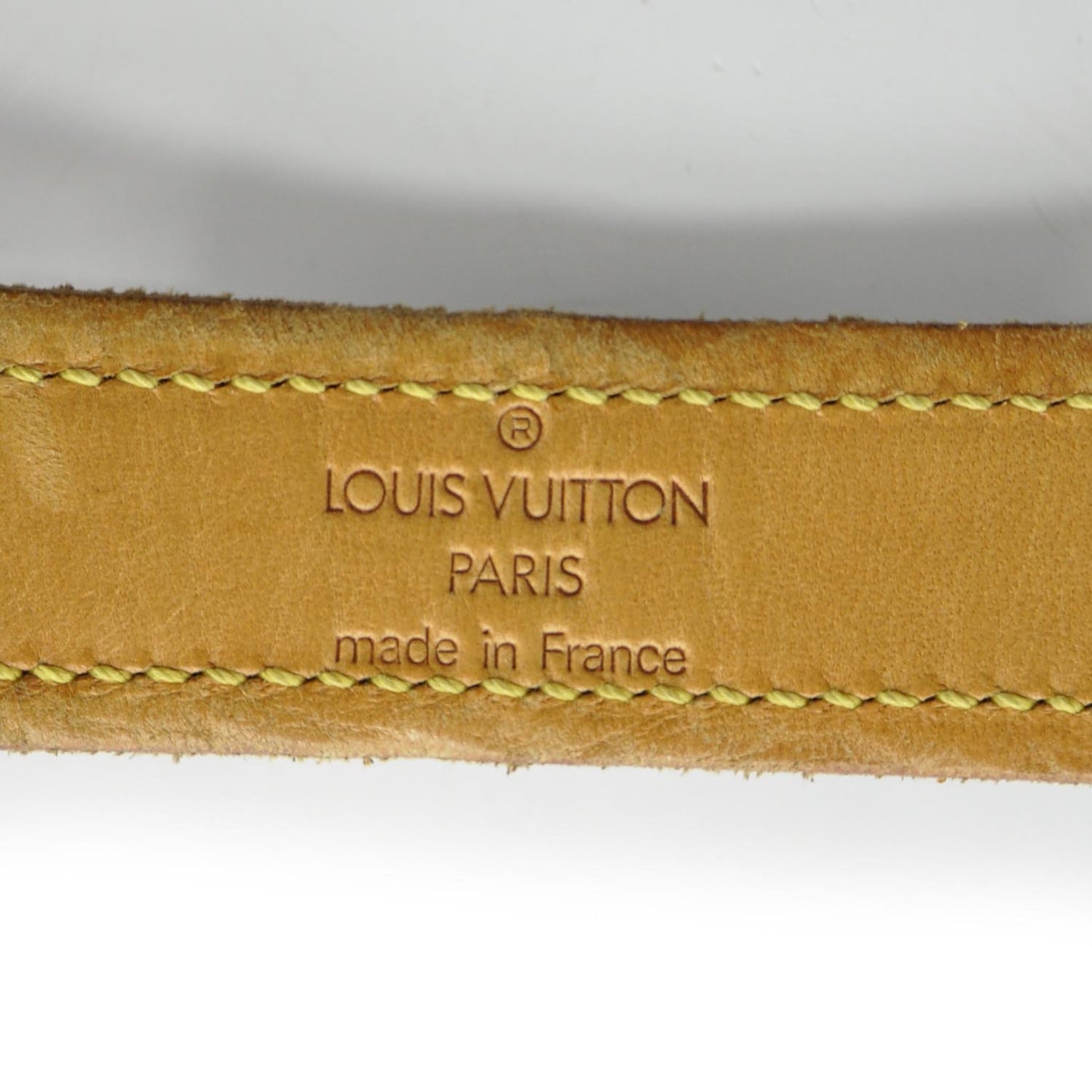 Monogram Baxter Dog Collar