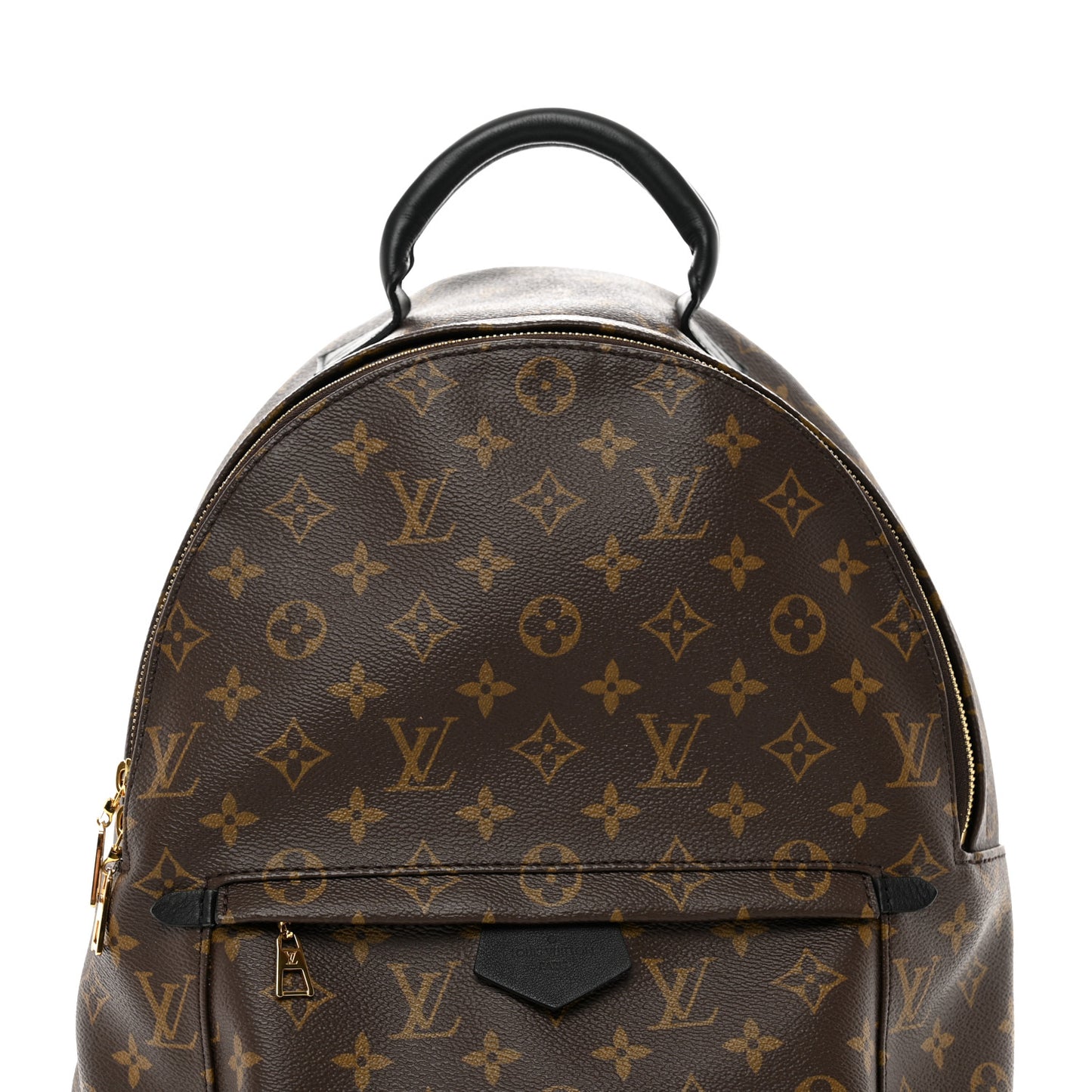 Monogram Palm Springs Backpack MM