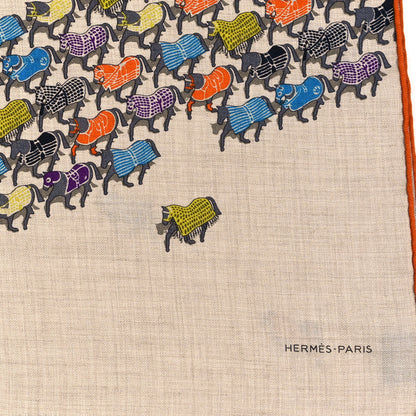Hermes Cashmere Silk The Parage Rectangle Natural Yellow Violet 3 of 5