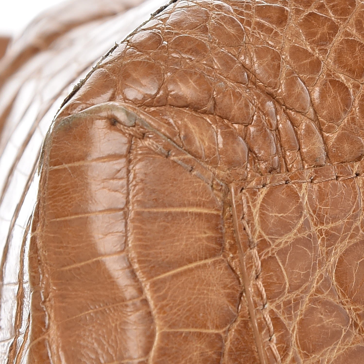Nancy Gonzalez Crocodile Tote Tan 9 of 15