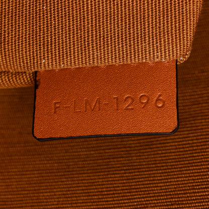 Celine Triomphe Canvas Duo Zipped Shoulder Bag Tan 8 of 13