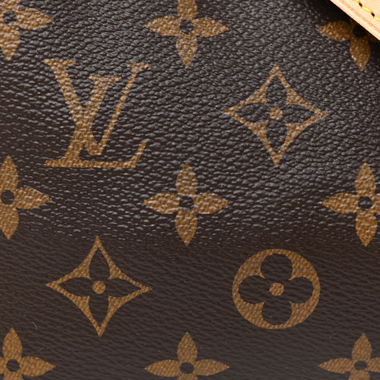 Monogram Speedy Bandouliere 25