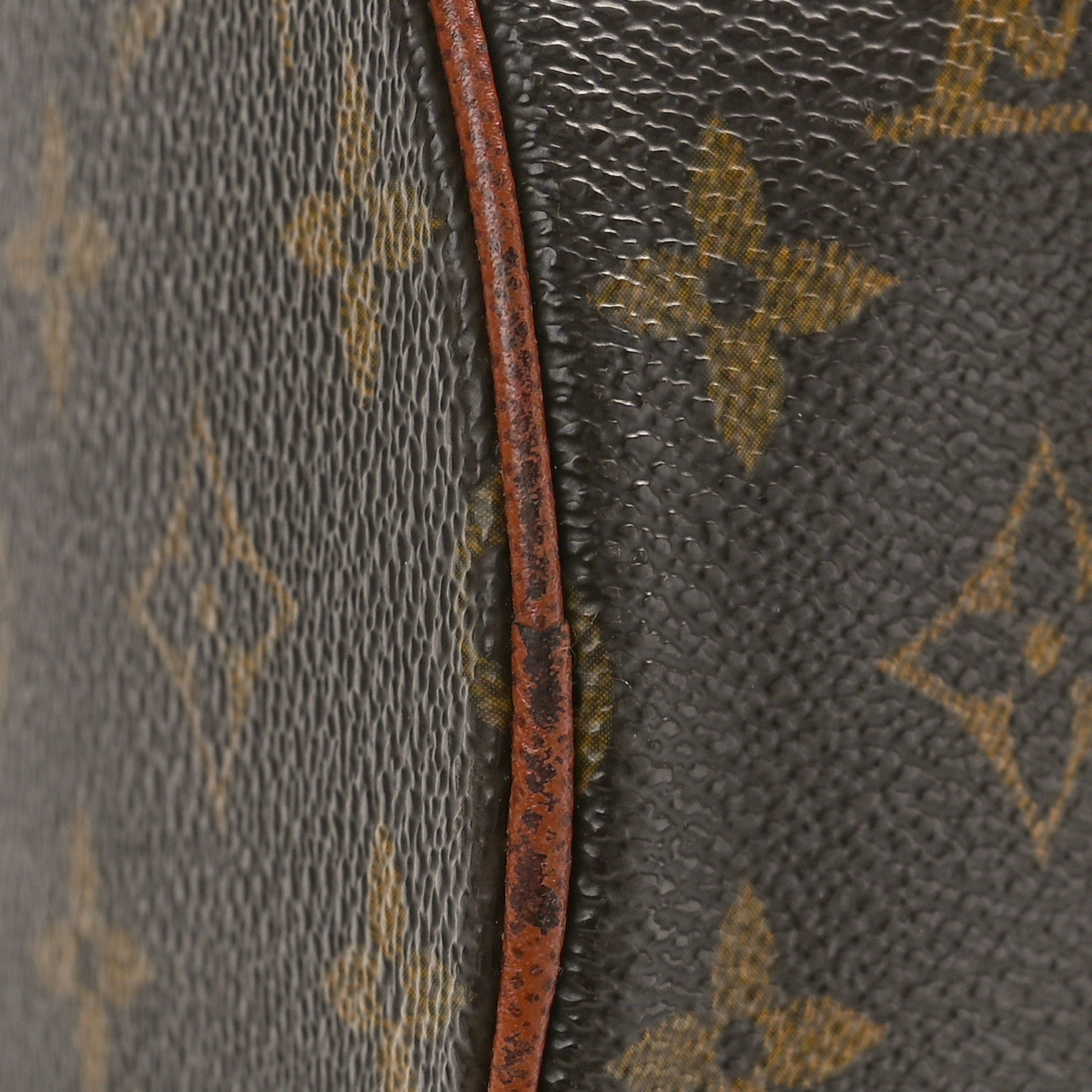 Monogram Papillon 30 with Companion