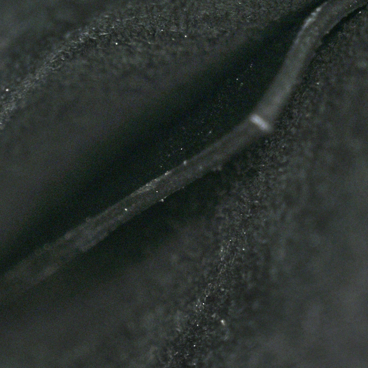 Calfskin Knuckle Shoulder Bag Black