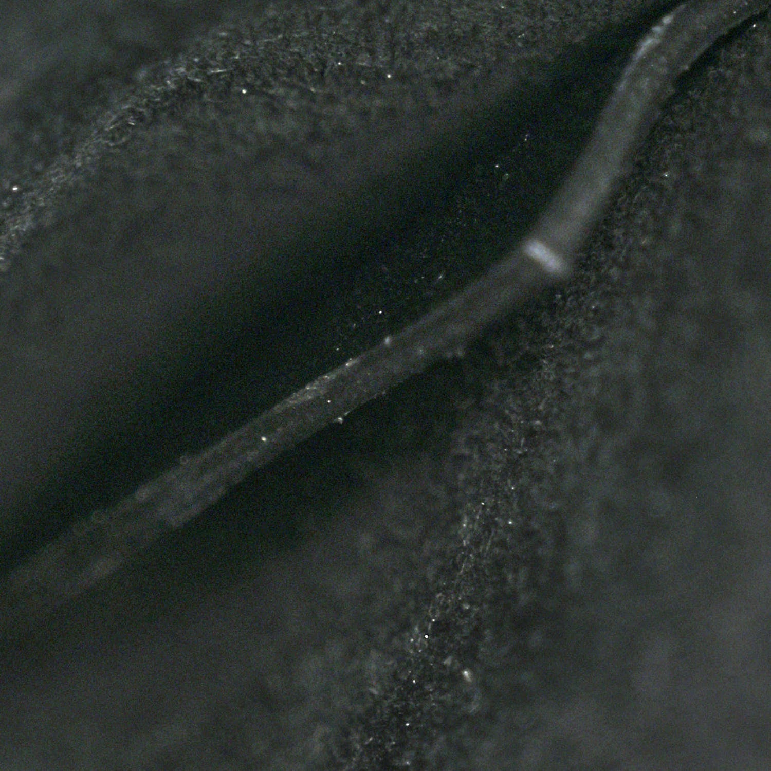 Alexander McQueen Calfskin Knuckle Shoulder Bag Black 7 of 12