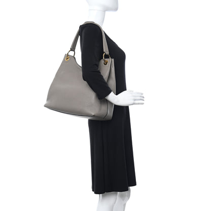 Prada Vitello Phenix Logo Hobo Taupe 2 of 14
