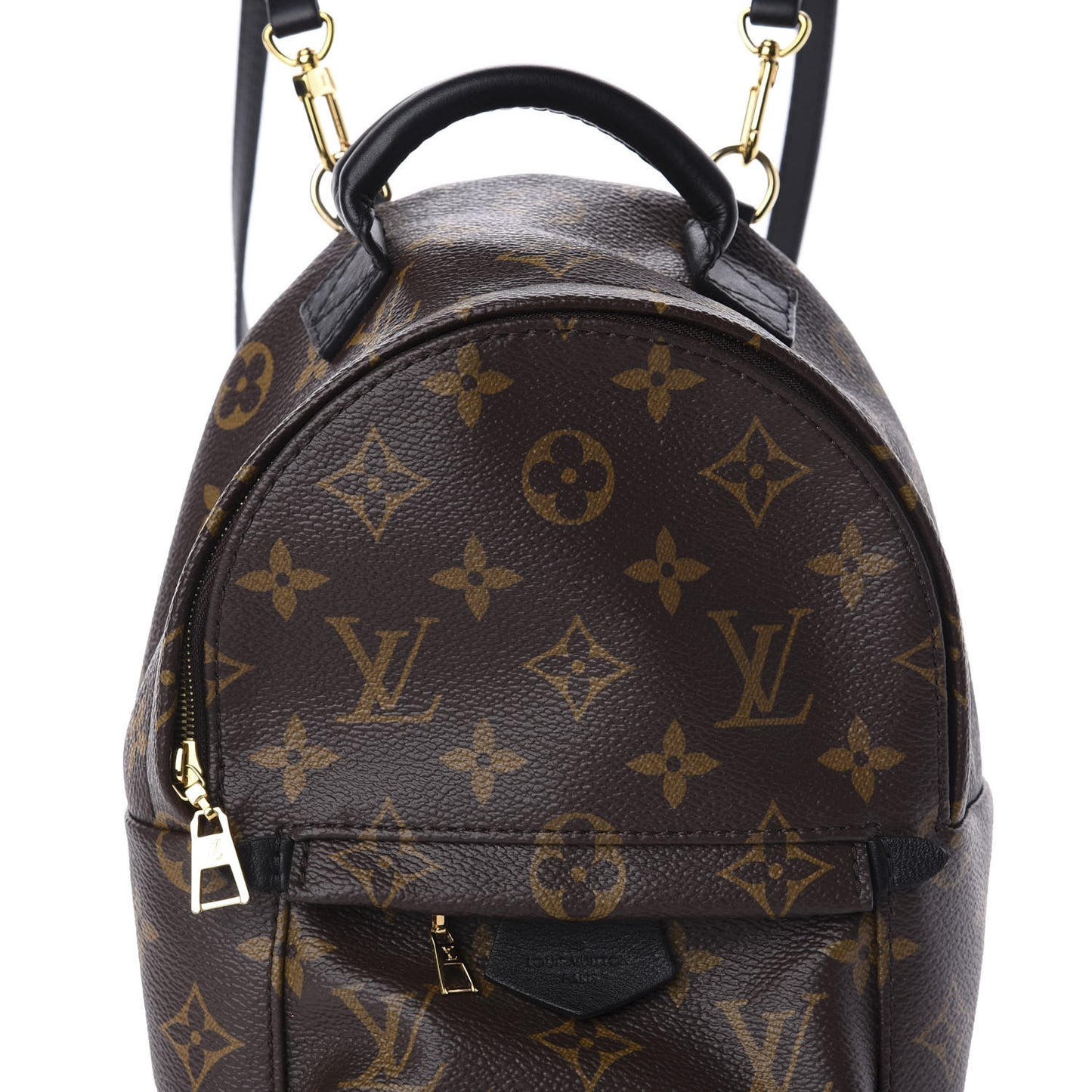 Monogram Palm Springs Backpack Mini