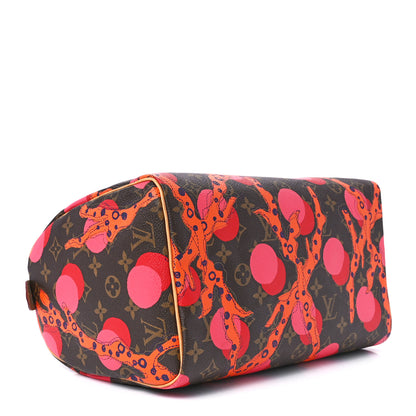 Louis Vuitton Monogram Ramages Speedy 30 Grenade 4 of 10