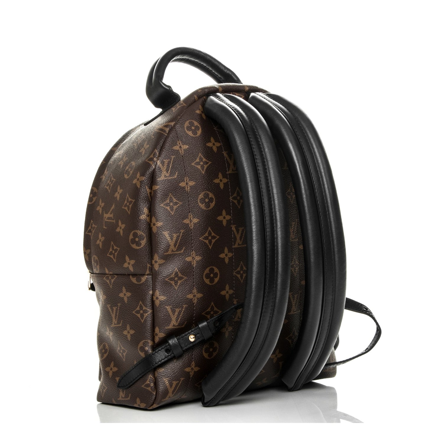 Monogram Palm Springs Backpack MM