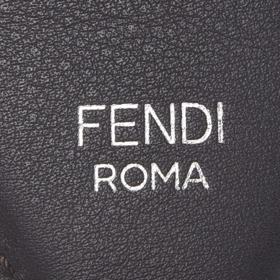 Fendi Vitello Dolce Fun Fair Metal Studded Strap You Camelia Multicolor 4 of 5