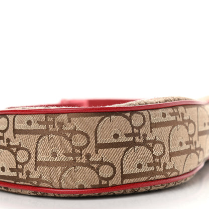 Christian Dior Monogram Rasta Saddle Pochette Beige 9 of 11
