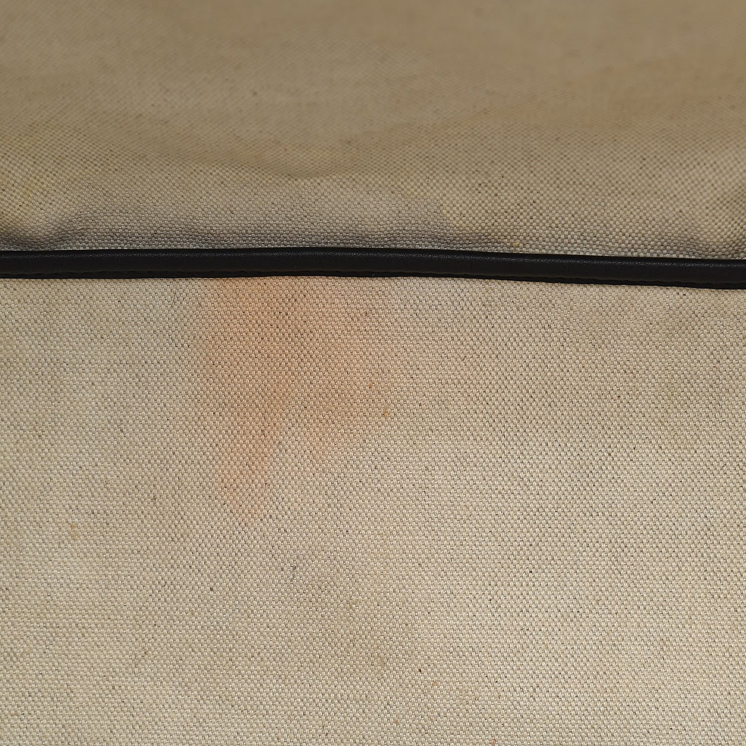 Goyard Goyardine Saint Louis PM Black 10 of 13