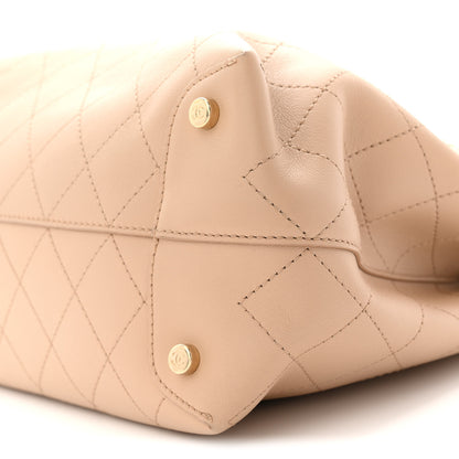 Chanel Calfskin Large Serial Shopper Tote Beige 10 of 12