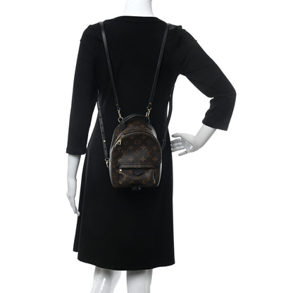 Louis Vuitton Monogram Palm Springs Backpack Mini 2 of 10