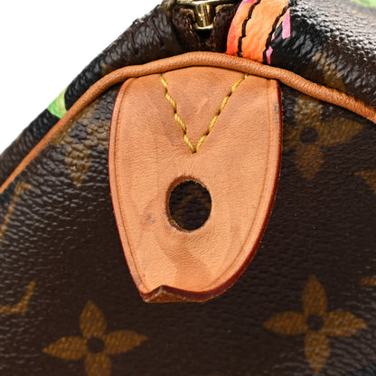 Louis Vuitton Monogram Roses Speedy 30 11 of 11