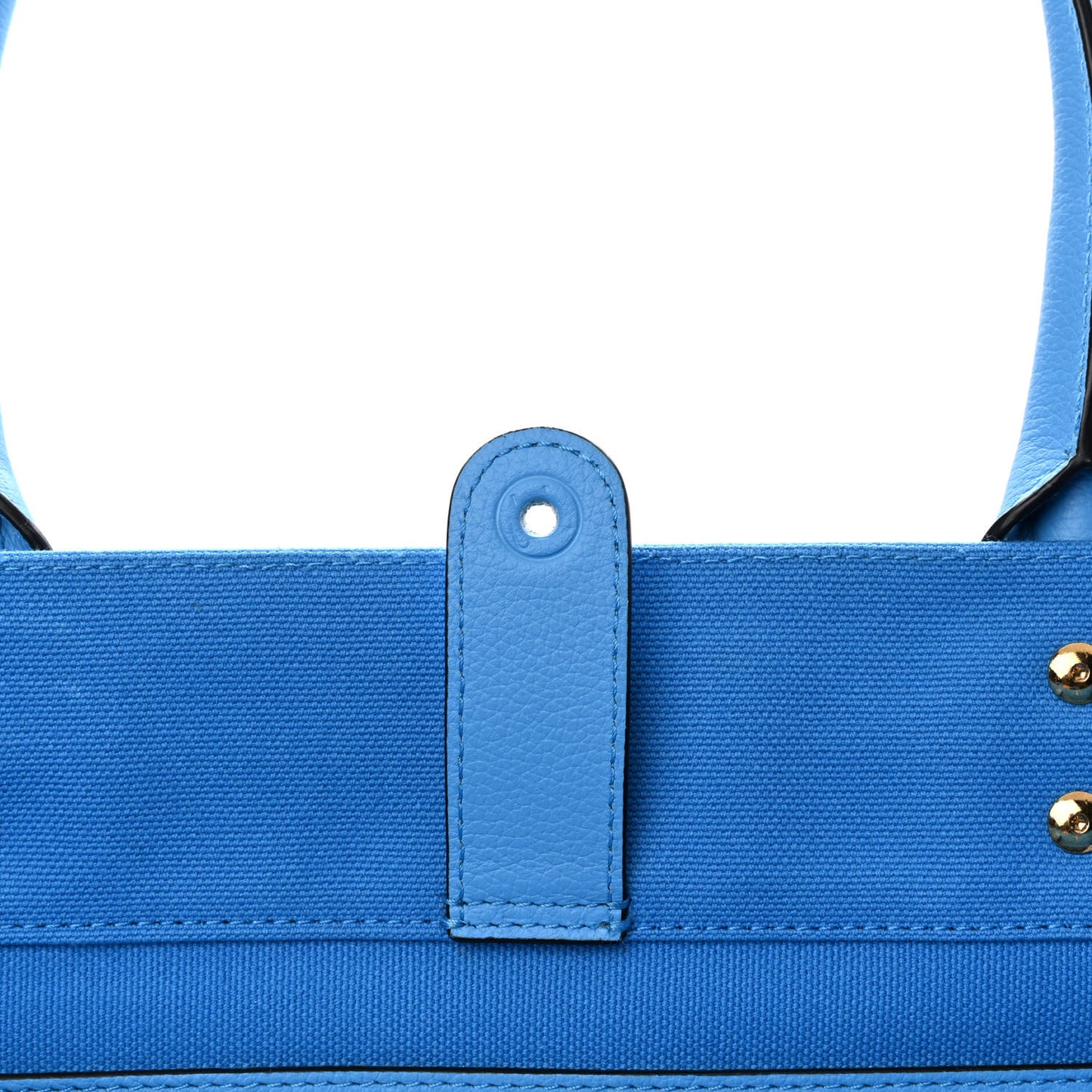 Canvas Calfskin La Medusa Tote Bag Blue