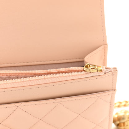 Chanel Lambskin Quilted Sweet Camellia Wallet on Chain WOC Light Beige 12 of 12