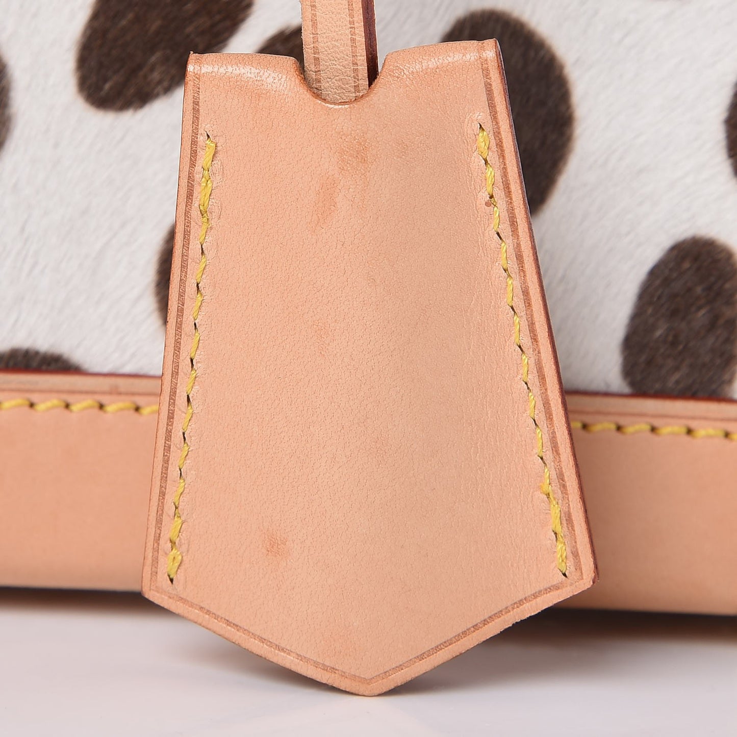 Monogram Multicolor Dalmatian Sac Rabat